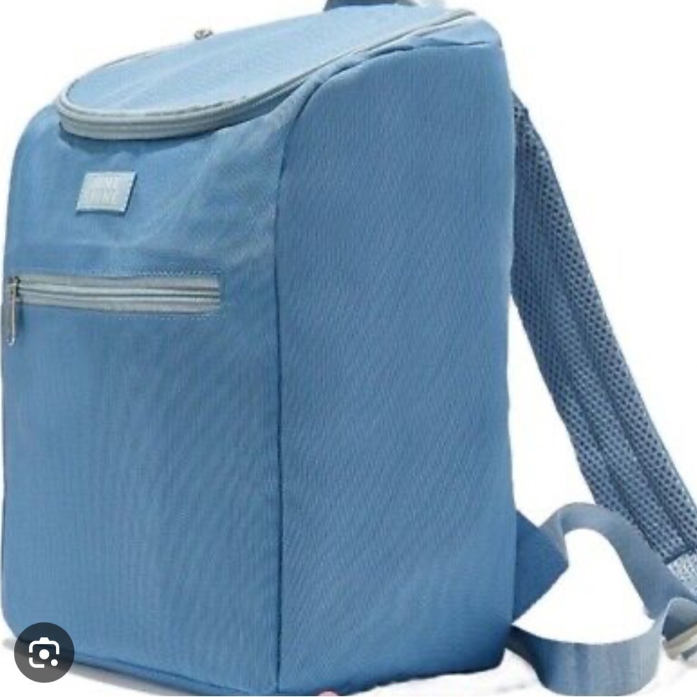 JuneShine Blue Insulated Cooler Backpack - Picture 4 of 6